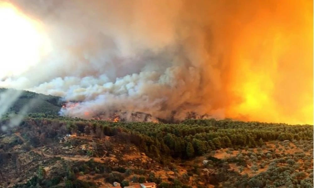 Φωτιά στην Εύβοια: Μεγάλες οι ζημιές στο εργοστάσιο του Αλιβέριου
